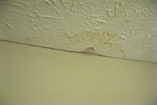 cracked and crumbled paint due to severe flooding