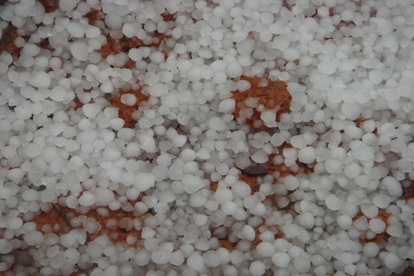 pellet-sized hailstones